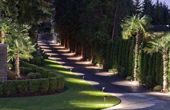 Efficient and Eco-Friendly — Why LED Solar Garden Lights Are the Ideal Choice