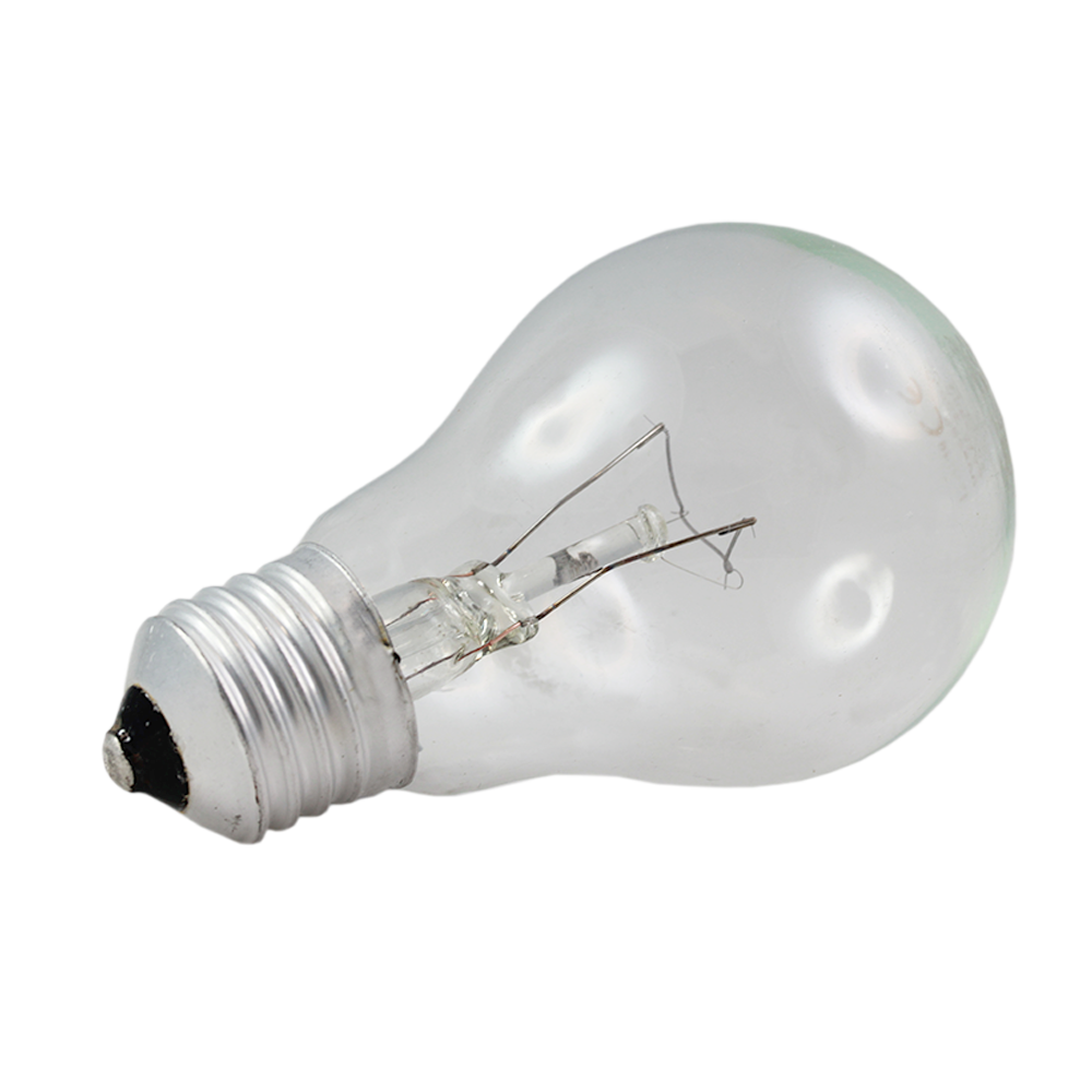 Incandescent Oven Globe 60W Clear 230-240V E27