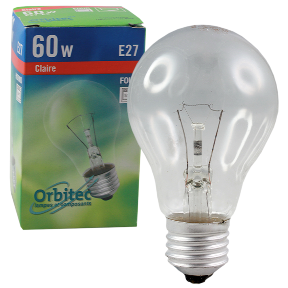 Incandescent Oven Globe 60W Clear 230-240V E27