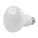 LED Bulb R80 7.3W 2700K E27