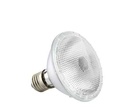 FSL Halogen Flood Lamp Par 30 100W Edison