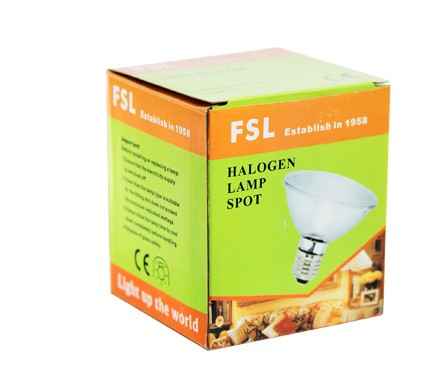 FSL Halogen Flood Lamp Par 30 100W Edison