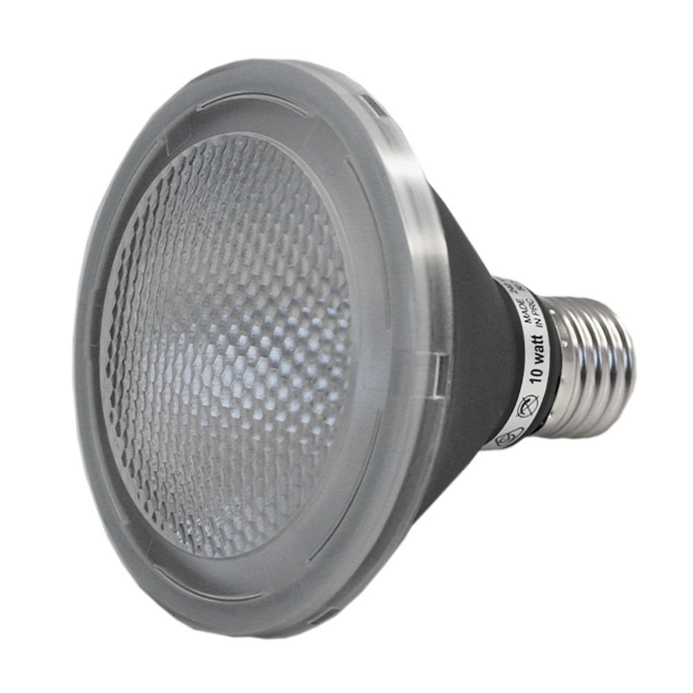 LED Globe PAR30 10W 5000K Non-Dimmable E27