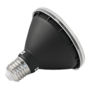 LED Globe PAR30 10W 5000K Non-Dimmable E27