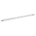 Linear Halogen Lamp 1000W 240V 189mm R7s