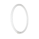 Master TL5 Circular Fluorescent T5 22W 4000K 840 2GX13 4 Pins