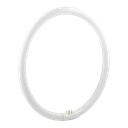 Triphosphor Circular Fluorescent T5 40W 4200K G10q 4 Pins