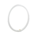 T5C Triphosphor Circular Fluorescent T5 22W 4000K G10q 4 Pins