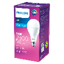 LED A80 GLS Bulb 19W 6500K E27 Non-Dimmable