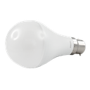 LED A80 GLS Bulb 19W 6500K B22 Non-Dimmable