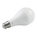 LED A80 GLS Bulb 19W 6500K B22 Non-Dimmable