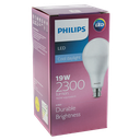 LED A80 GLS Bulb 19W 6500K B22 Non-Dimmable