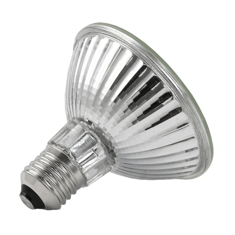 Lusion LED Globe PAR30 15W 3000K Non-Dimmable E27