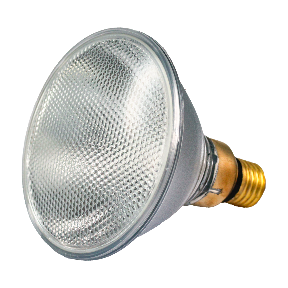 Reflector Incandescent PAR38 120W 2700K E27