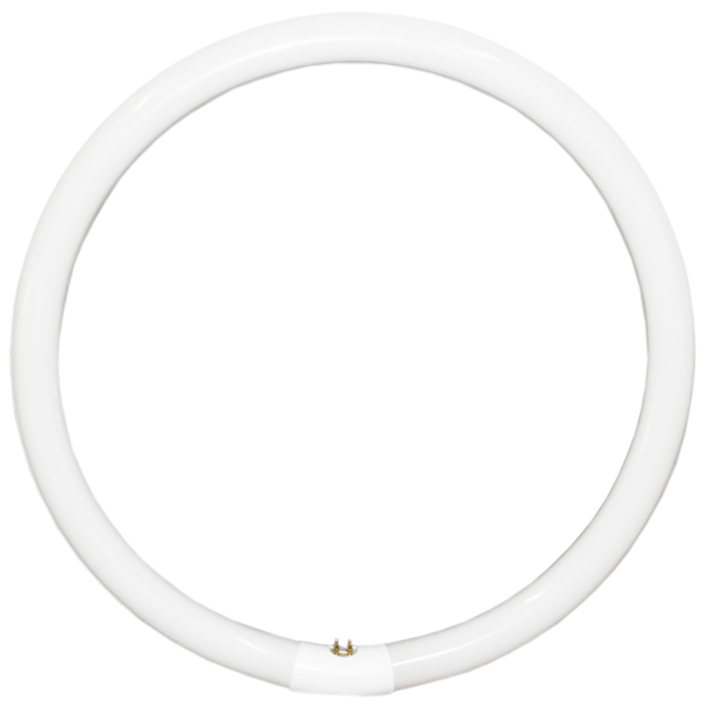 T9 Blacklight Circular Fluorescent Tube 40W G10q 4 Pins