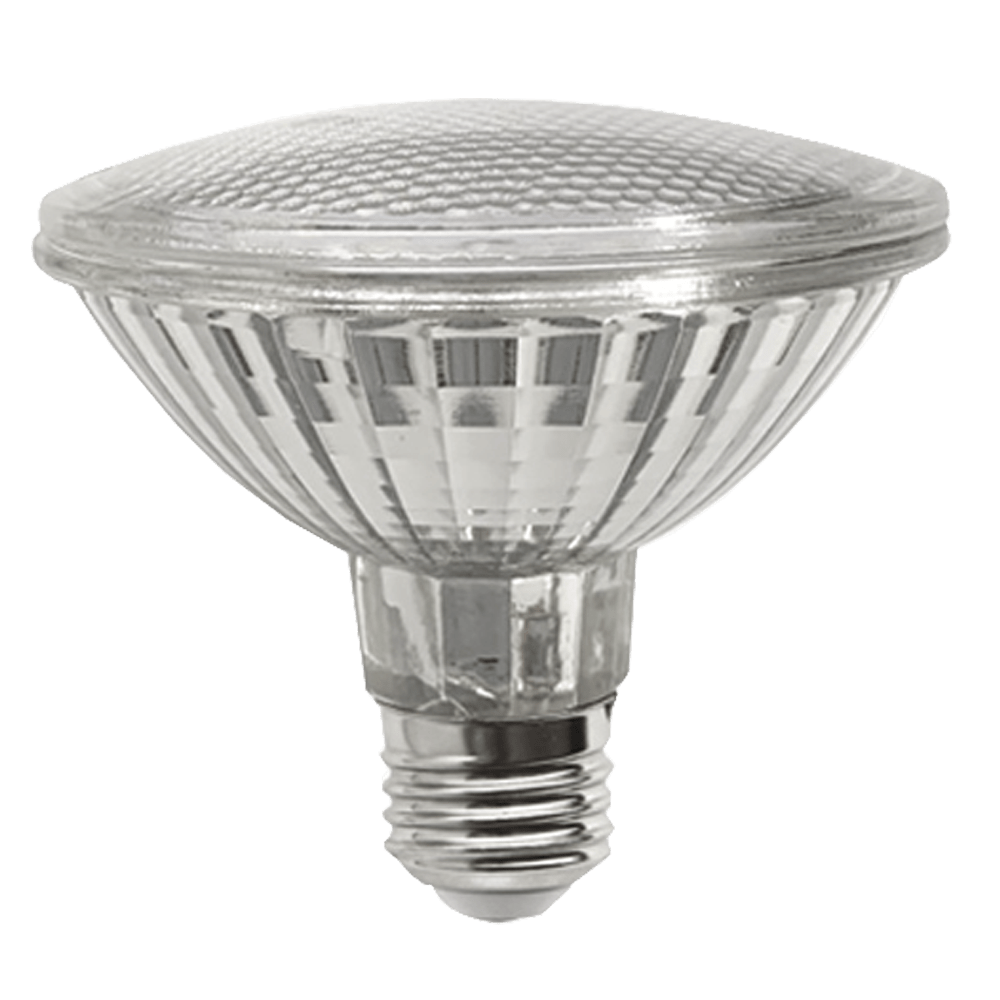 Deluxlite Lus LED Globe PAR30 15W 4000K Non-Dimmable E27