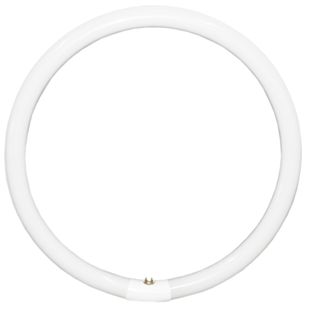 NLS Circular Fluorescent T9 40W 4200K G10q 4 Pins