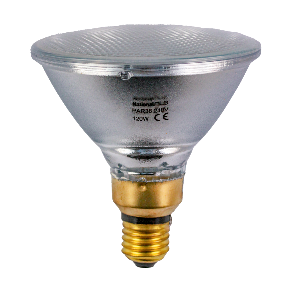 Outdoor Reflector Incandescent PAR38 120W 2700K E27