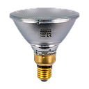 Outdoor Reflector Incandescent PAR38 120W 2700K E27