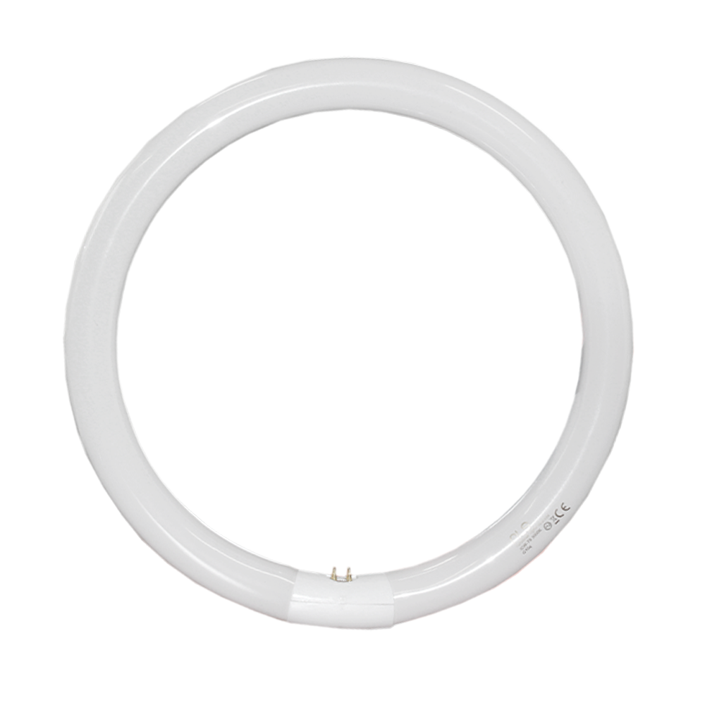 EnergX Energy Saver Circular Fluorescent T9 32W 5000K G10q 4 Pins