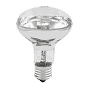 CLA Energy Saving R80 Halogen Lamp 53W 2800K E27