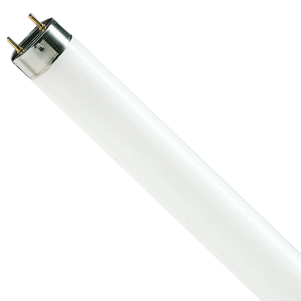 Lifemax Tube Light TL-D T8 15W 4000K G13 450mm