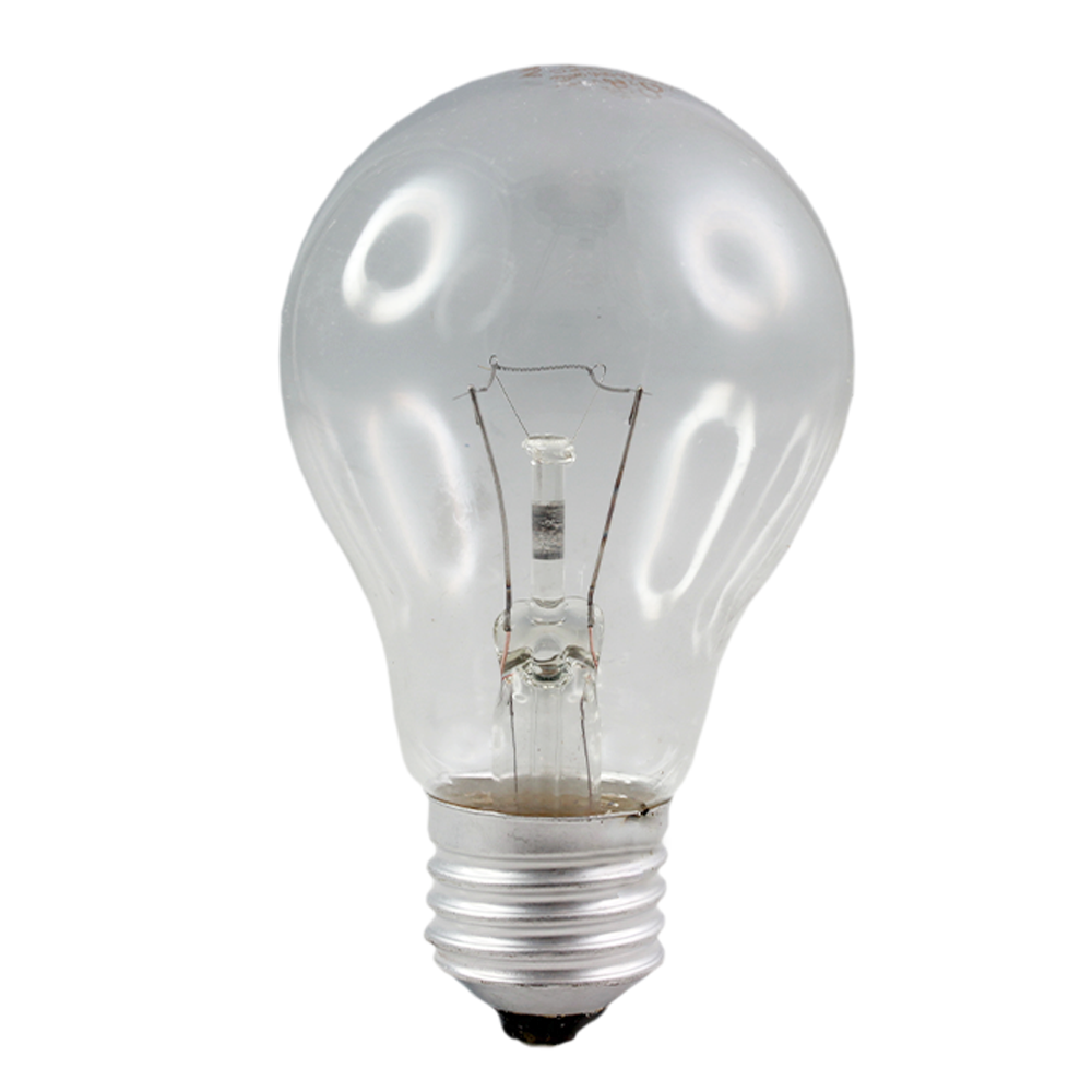 Incandescent Oven Globe 60W Clear 230-240V E27