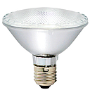 FSL Halogen Flood Lamp Par 30 100W Edison