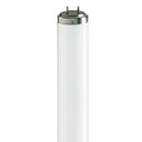 Special Actinic BL T12 40W Reflector G13 600mm