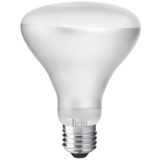 [261038] GE Spot Light R95 100W Edison