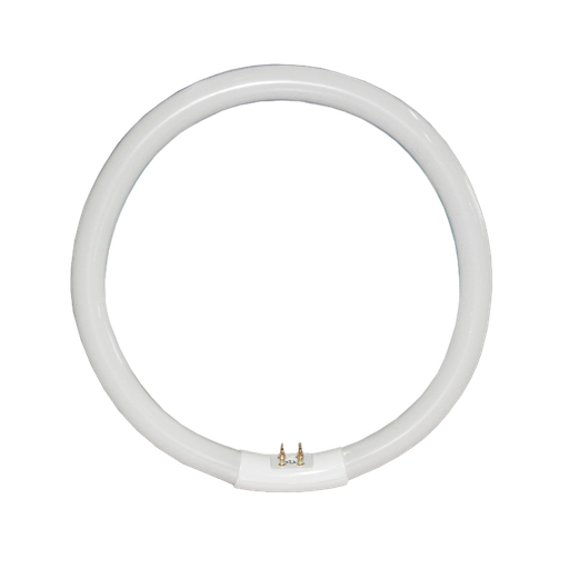 [8130HIT] Longlife T5 Circular Tri-phosphor Fluorescent Lamp 22W 6400K G10q 4 Pins