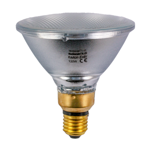 [261062] Outdoor Reflector Incandescent PAR38 120W 2700K E27