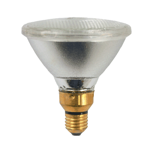 [6605] Lusion Incandescent PAR38 Reflector Flood Lamp 150W 240V E27