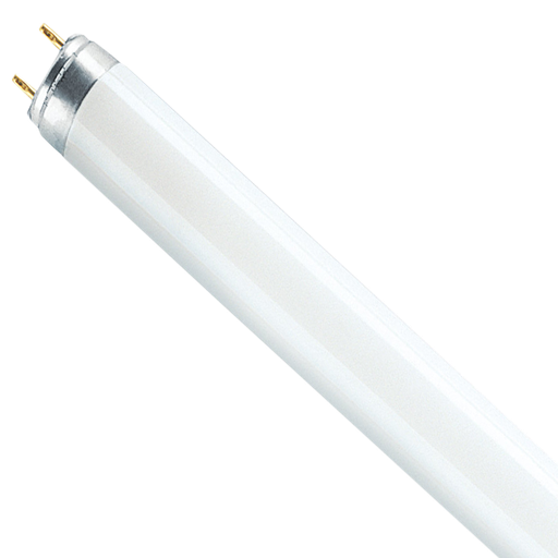 [368497] T8 Lumilux Tube Light L Short 36W 4000K G13 970mm