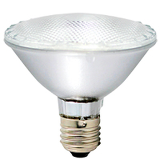 [6097HB] FSL Halogen Flood Lamp Par 30 100W Edison