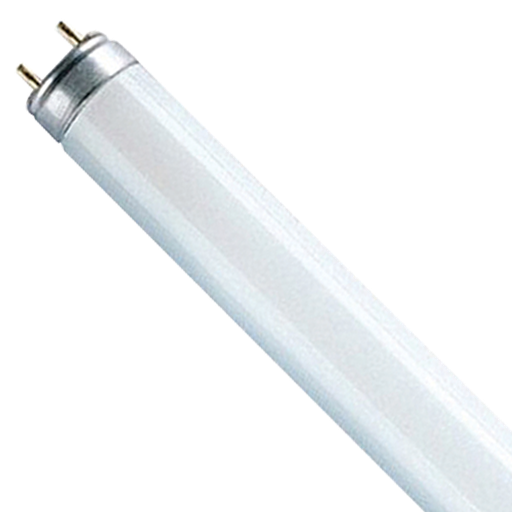 [8455] T10 AAA Preheat Fluorescent Lamp F20T10 20W 5000K G13 600mm