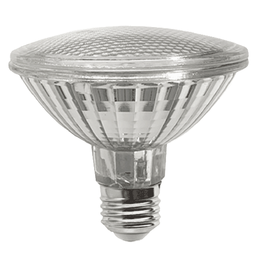 [20750] LED Globe PAR30 15W 3000K Non-Dimmable E27