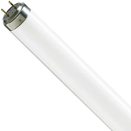 [8080] Blacklight Fluorescent Lamp T8  36W G13 1210mm